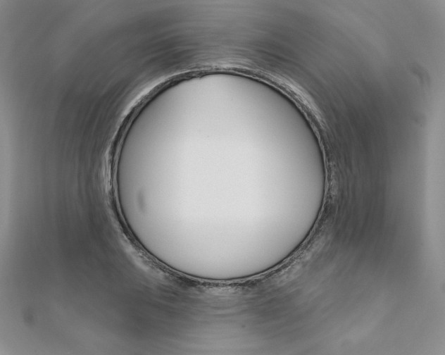 X0000112021031200908031038