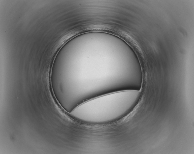 X0000112021033200908031038