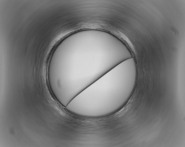 X0000112021035200908031038