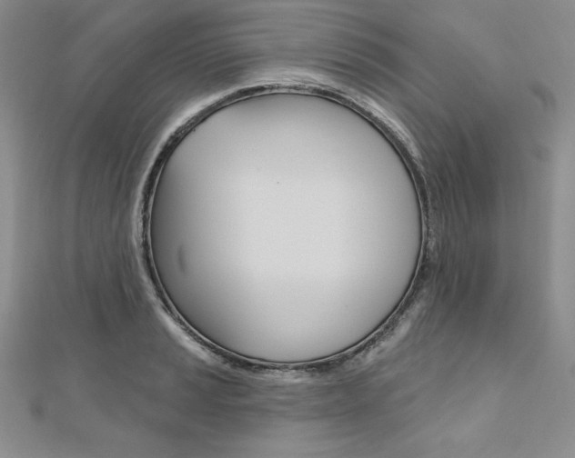 X0000112021037200908031038