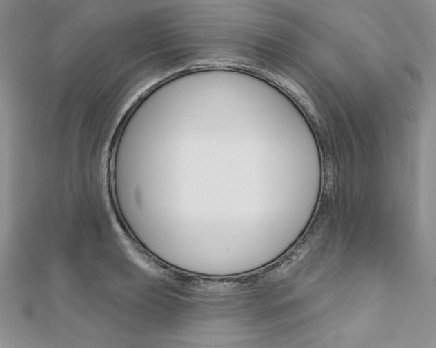 X0000112021039200908031038