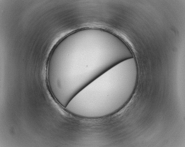 X0000112021040200908031038