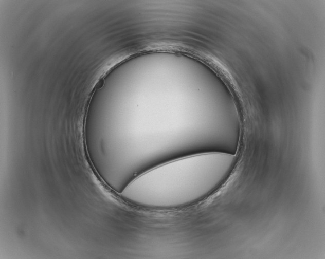 X0000112021041200908031038