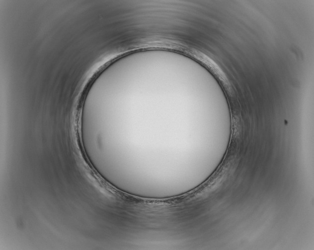 X0000112021043200908031038
