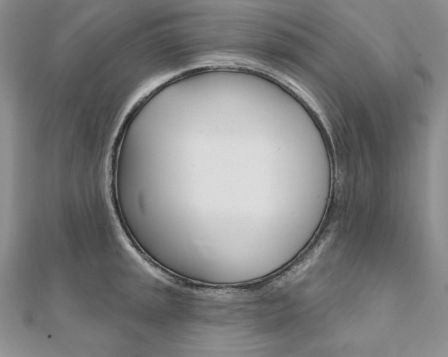 X0000112021045200908031038