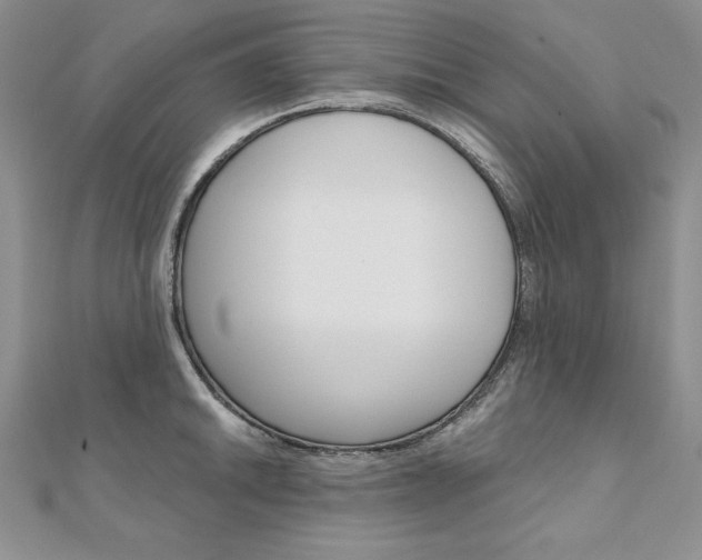 X0000112021046200908031038