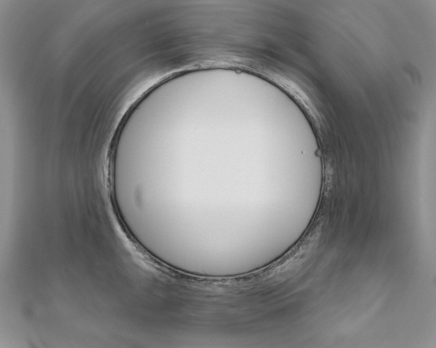 X0000112021047200908031038