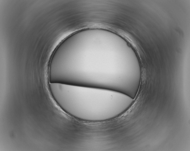 X0000112021048200908031038