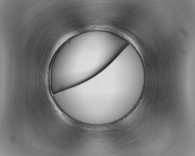 X0000112021050200908031038