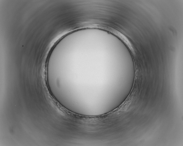 X0000112021051200908031038