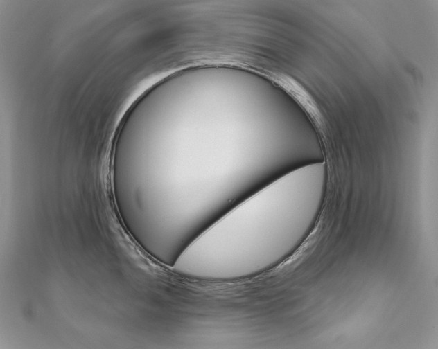 X0000112021052200908031038