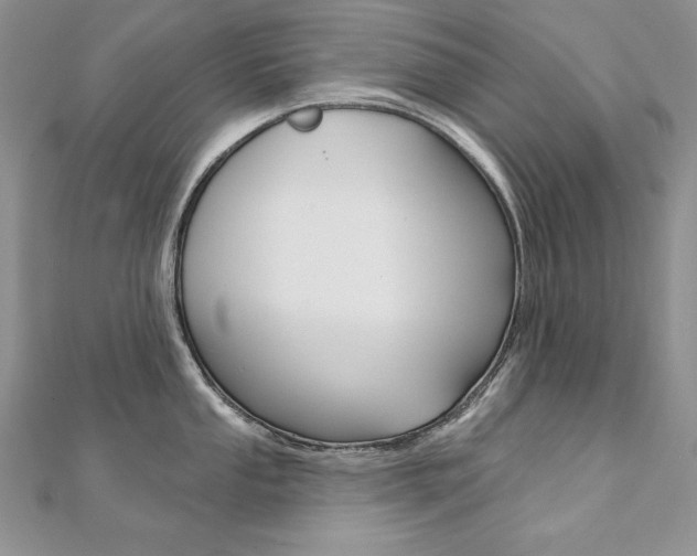 X0000112021053200908031038
