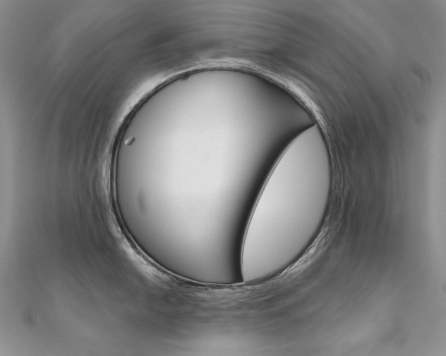 X0000112021054200908031038