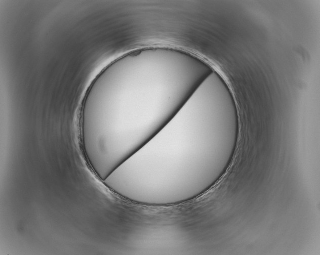 X0000112021056200908031038
