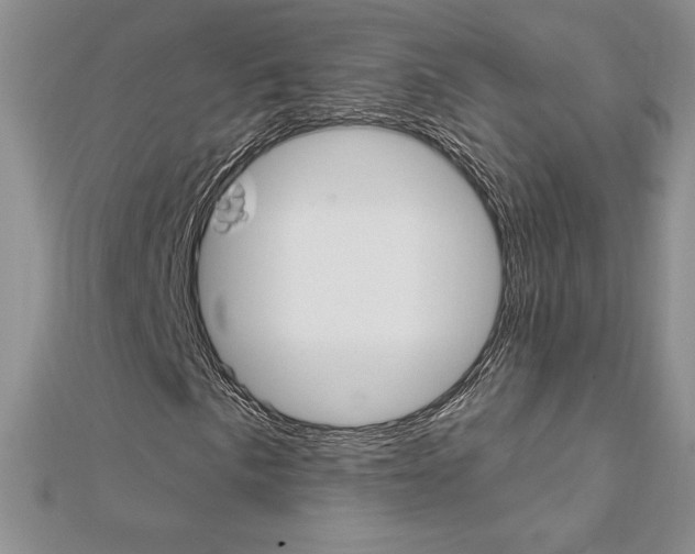 X0000112021057200908031037