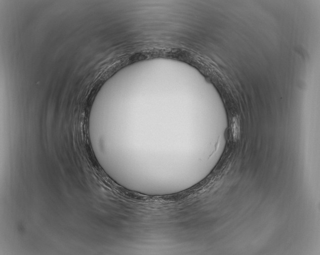 X0000112021059200908031037
