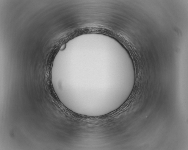 X0000112021062200908031037