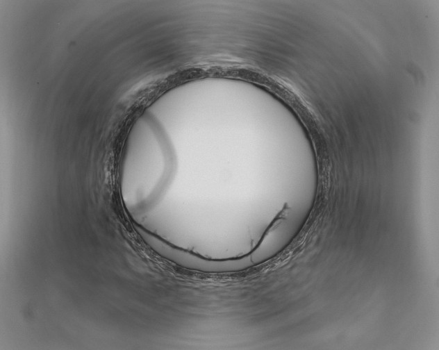 X0000112021063200908031037