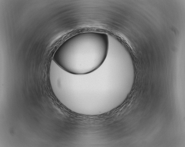 X0000112021064200908031037