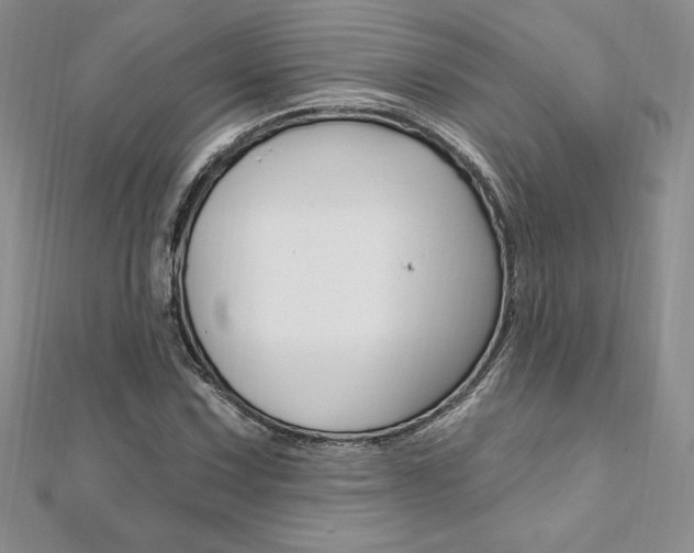 X0000112021067200908031037