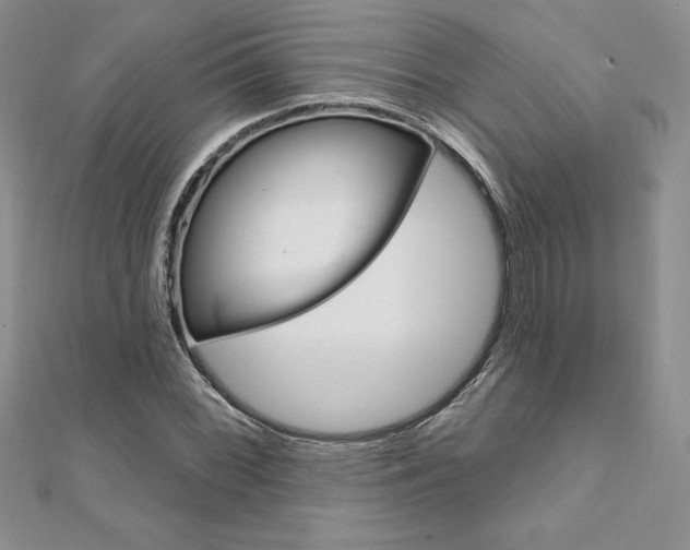 X0000112021068200908031037