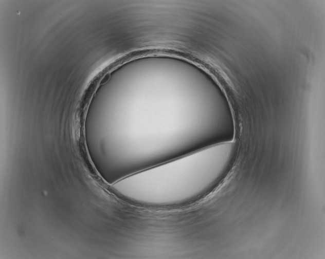 X0000112021069200908031037