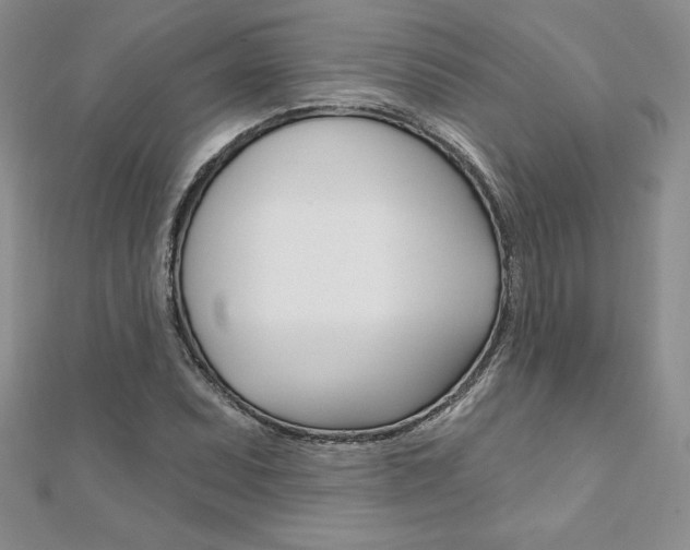 X0000112021071200908031037