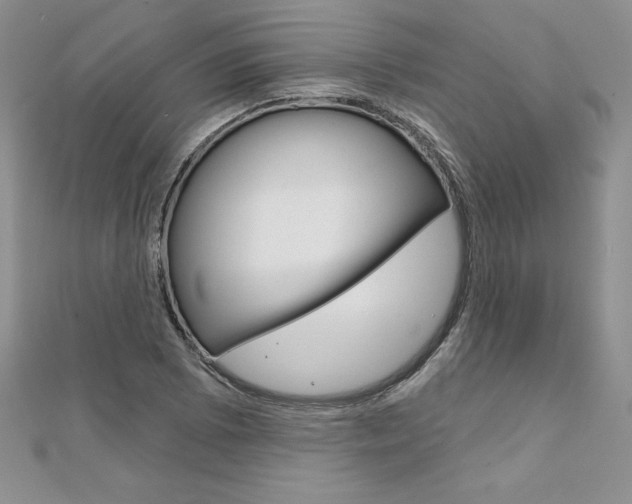 X0000112021073200908031037