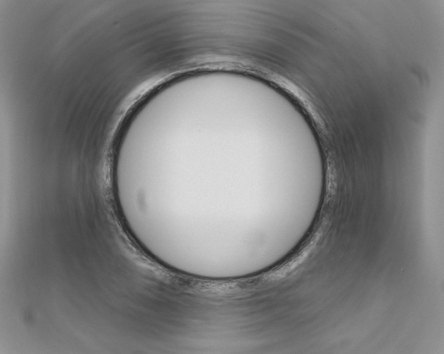 X0000112021074200908031037