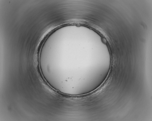 X0000112021075200908031037