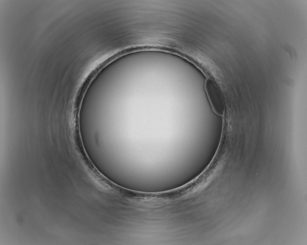 X0000112021077200908031037