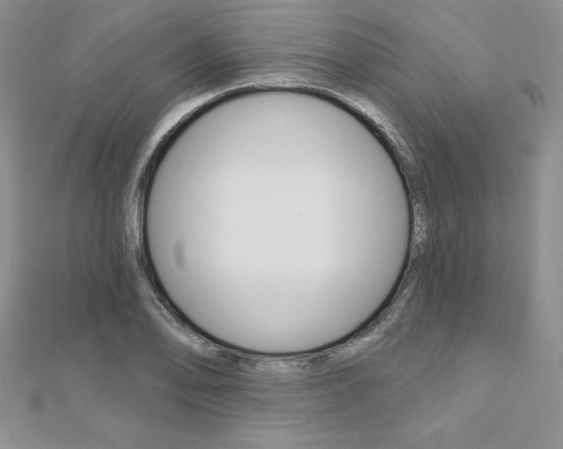 X0000112021078200908031037