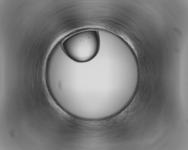 X0000112021080200908031037