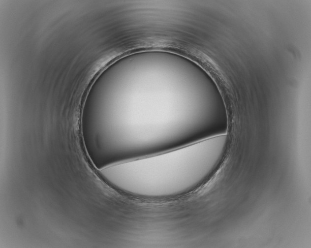 X0000112021081200908031037