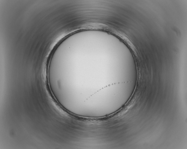 X0000112021083200908031037