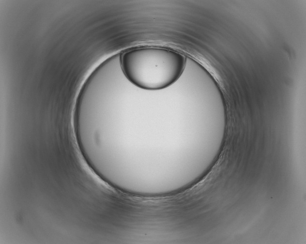 X0000112021084200908031037