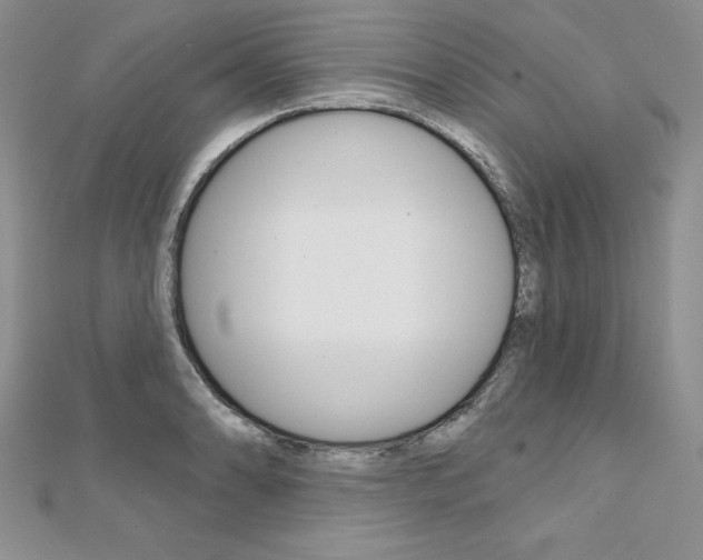X0000112021086200908031037