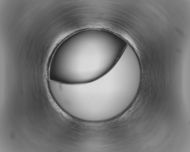 X0000112021088200908031037