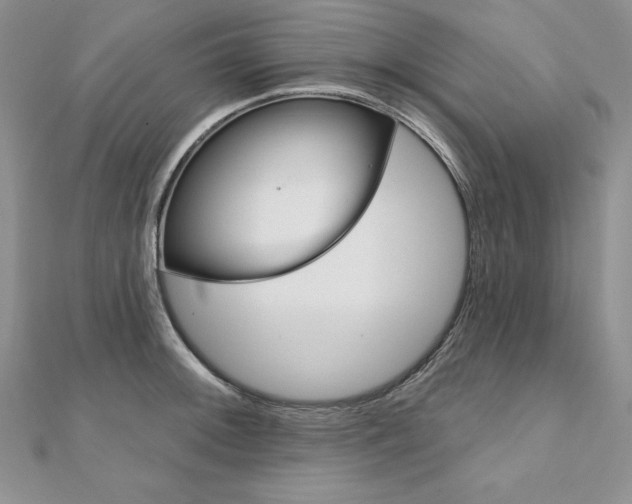 X0000112021092200908031037
