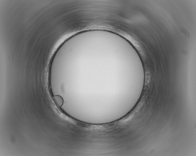 X0000112021094200908031037