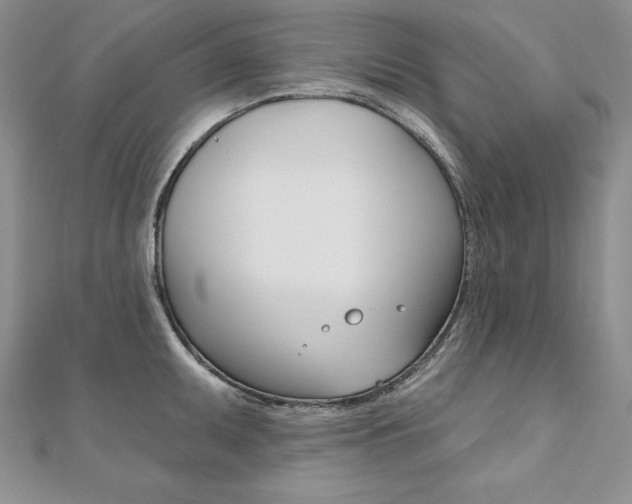 X0000112021095200908031037