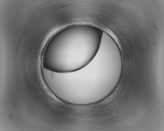 X0000112021096200908031037