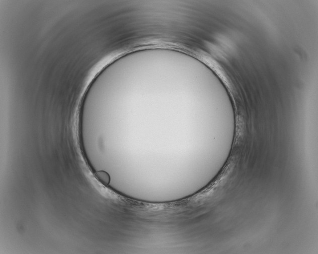 X0000112021098200908031037