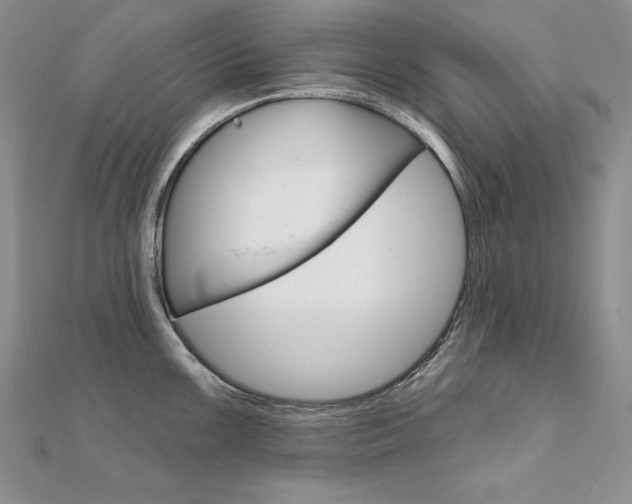 X0000112021099200908031037