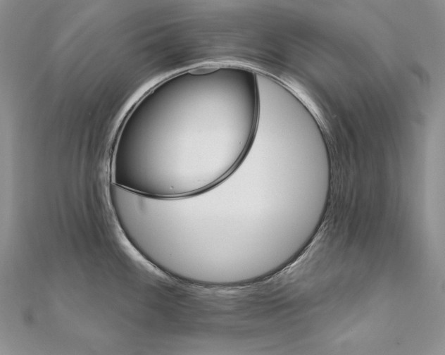 X0000112021100200908031037