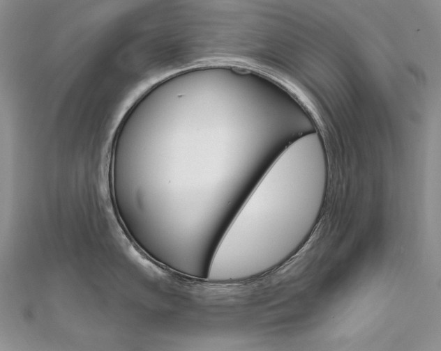 X0000112021102200908031037
