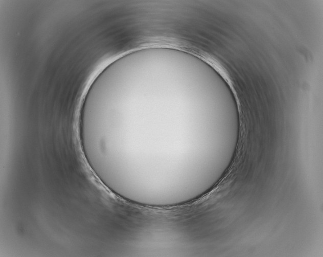 X0000112021104200908031037