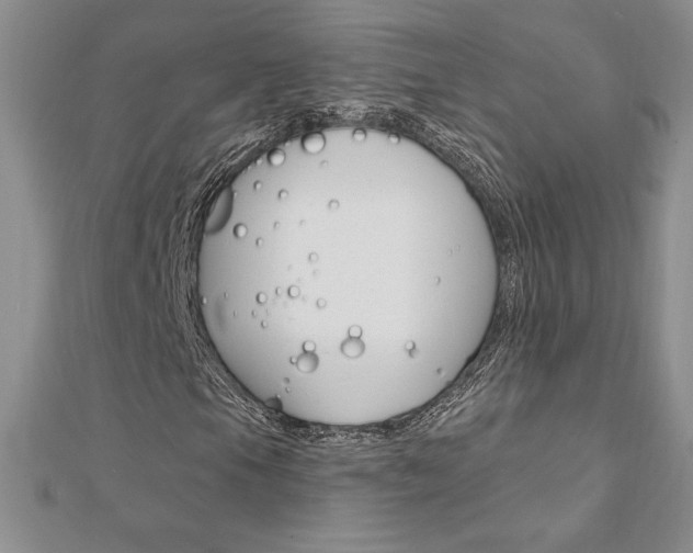 X0000112021105200908031036