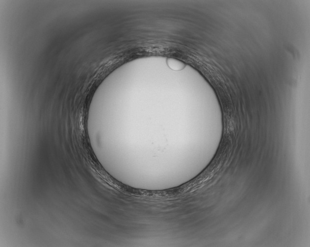 X0000112021106200908031036