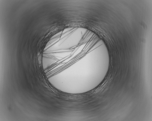 X0000112021107200908031036